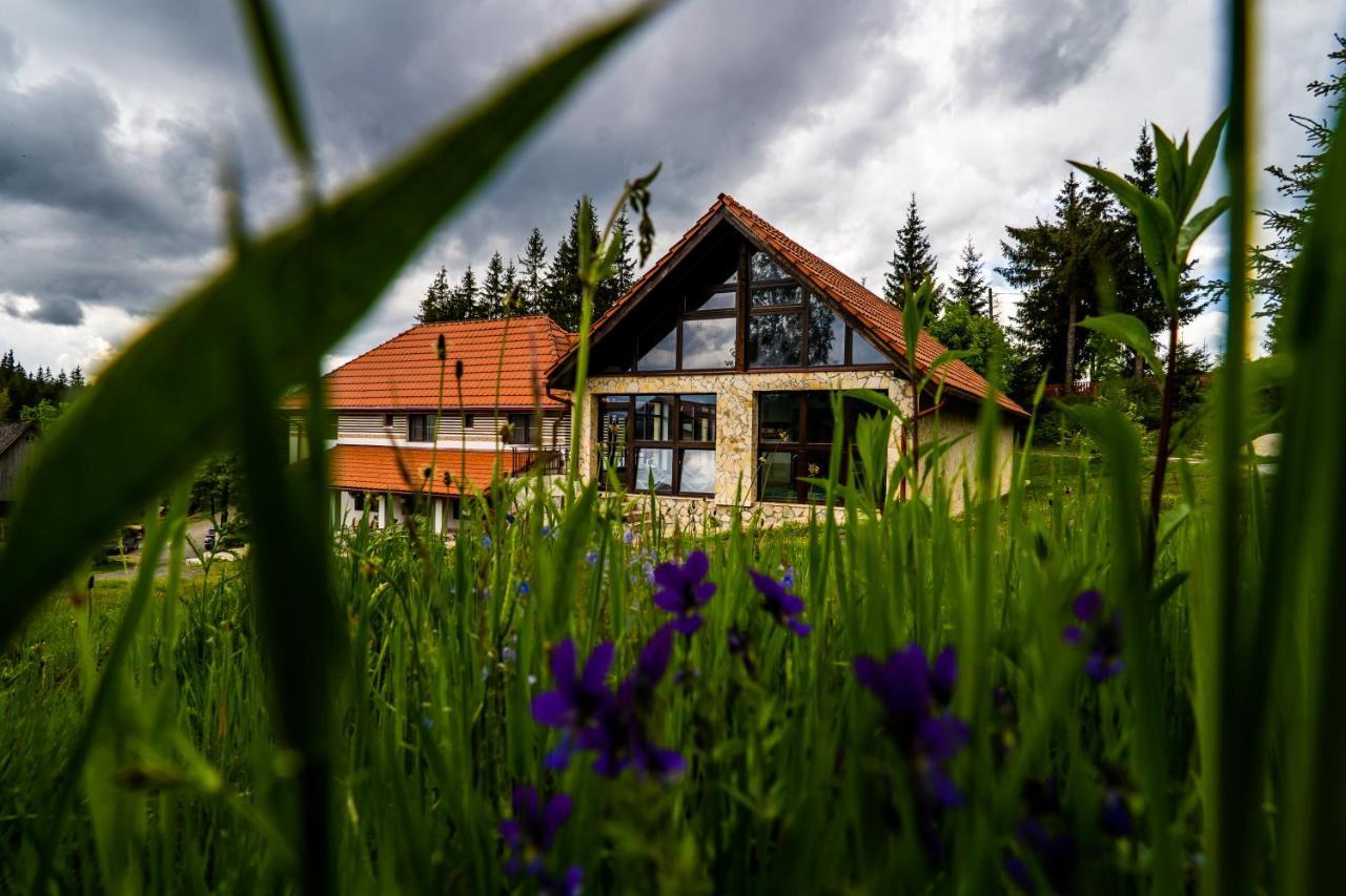 Pensiunea Romconcord Balcesti Exteriér fotografie